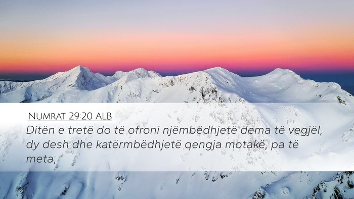 Numrat 29:20 ALB Bible Verse Image