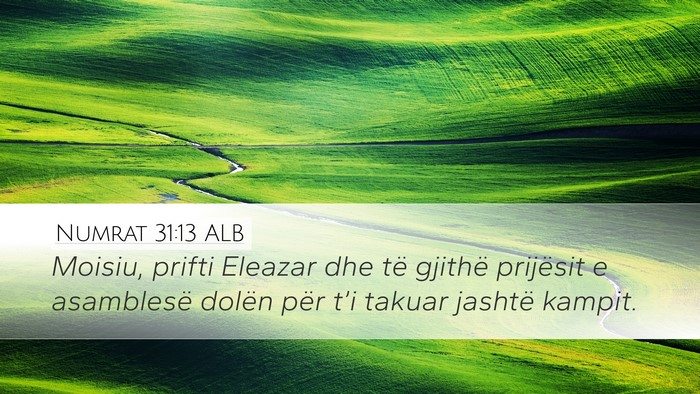 Numrat 31:13 ALB Bible Verse Image