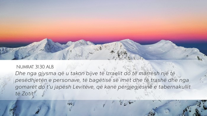 Numrat 31:30 ALB Bible Verse Image