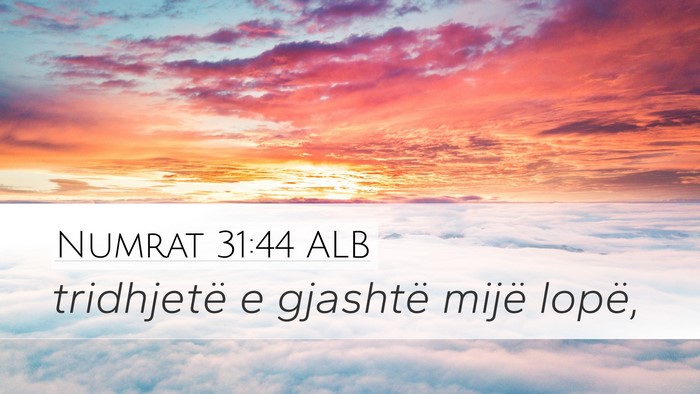 Numrat 31:44 ALB Desktop Wallpaper - tridhjetë e gjashtë mijë - Desktop Bible Verse Wallpaper