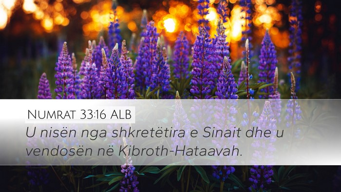 Numrat 33:16 ALB Bible Verse Image