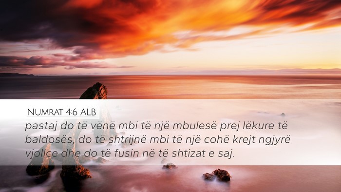 Numrat 4:6 ALB Bible Verse Image