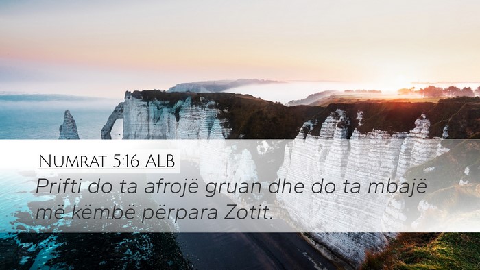 Numrat 5:16 ALB Bible Verse Image