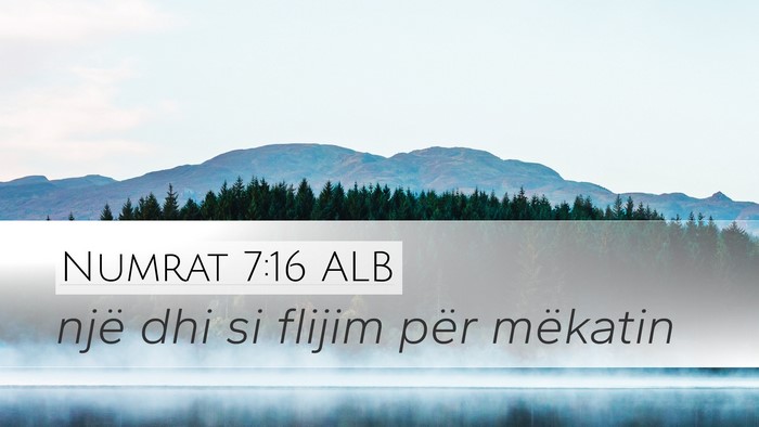 Numrat 7:16 ALB Bible Verse Image