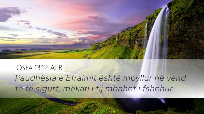 Osea 13:12 ALB Bible Verse Image