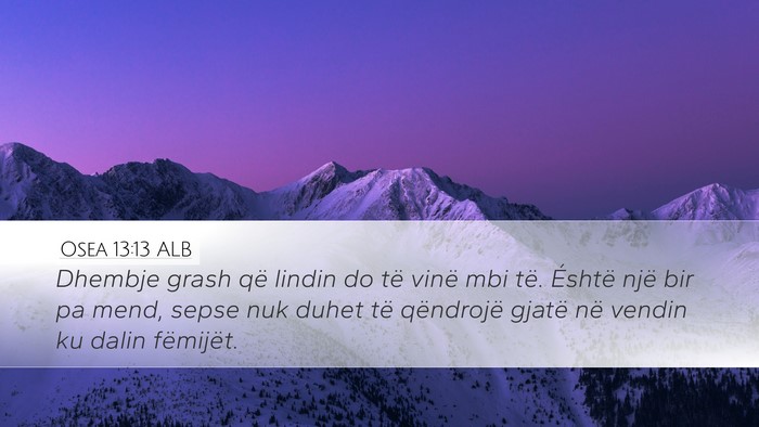 Osea 13:13 ALB Bible Verse Image