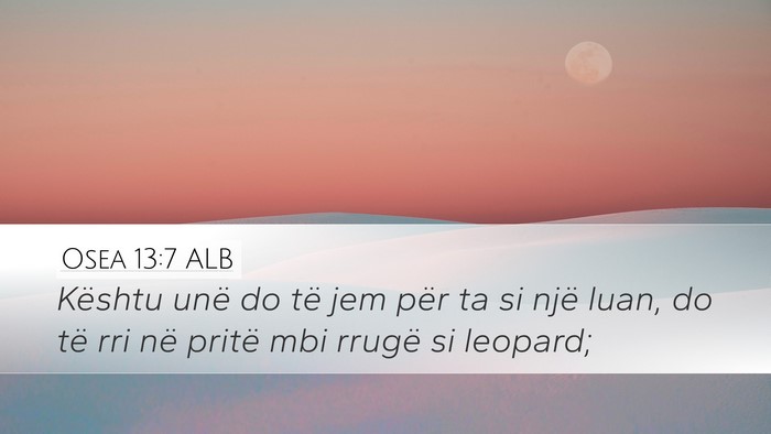 Osea 13:7 ALB Bible Verse Image