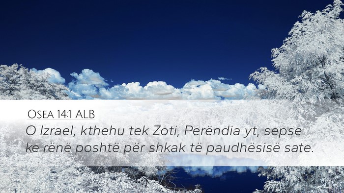 Osea 14:1 ALB Bible Verse Image