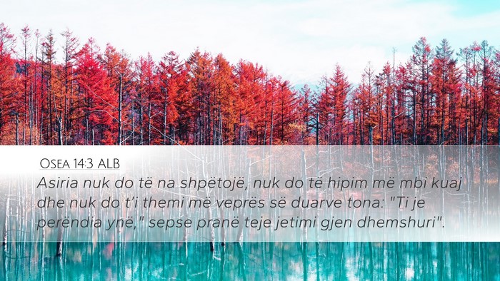 Osea 14:3 ALB Bible Verse Image