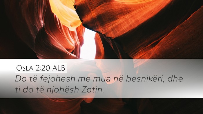 Osea 2:20 ALB Bible Verse Image