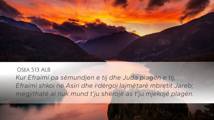 Osea 5:13 ALB Bible Verse Image