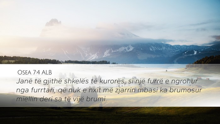 Osea 7:4 ALB Bible Verse Image