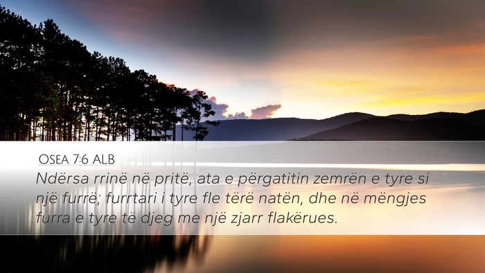 Osea 7:6 ALB Bible Verse Image