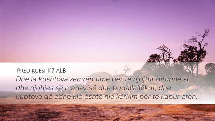 Predikuesi 1:17 ALB Desktop Wallpaper - Dhe ia kushtova zemrën time për të njojtur - Desktop Bible Verse Wallpaper