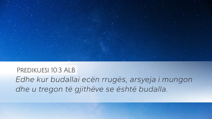 Predikuesi 10:3 ALB Desktop Wallpaper - Edhe kur budallai ecën rrugës, arsyeja i mungon - Desktop Bible Verse Wallpaper