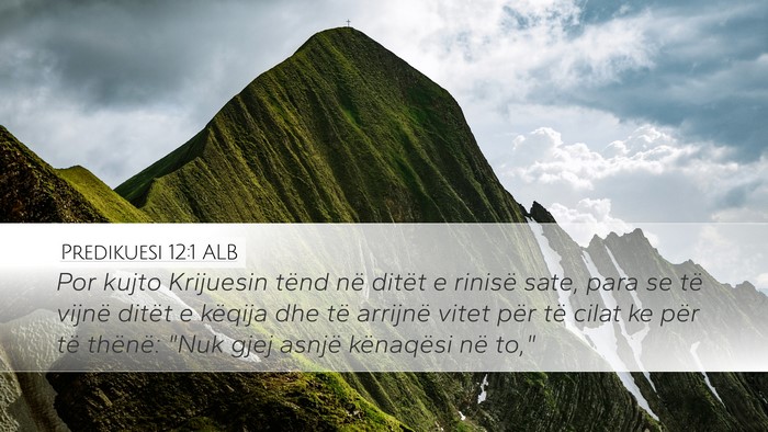 Predikuesi 12:1 ALB Bible Verse Image