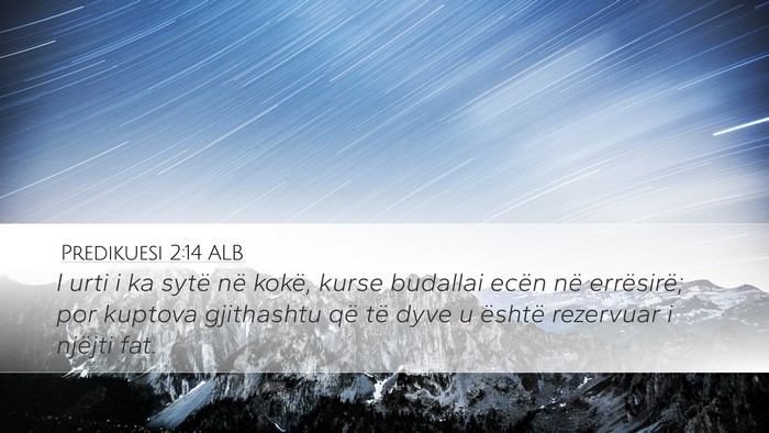 Predikuesi 2:14 ALB Bible Verse Image