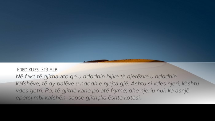 Predikuesi 3:19 ALB Bible Verse Image