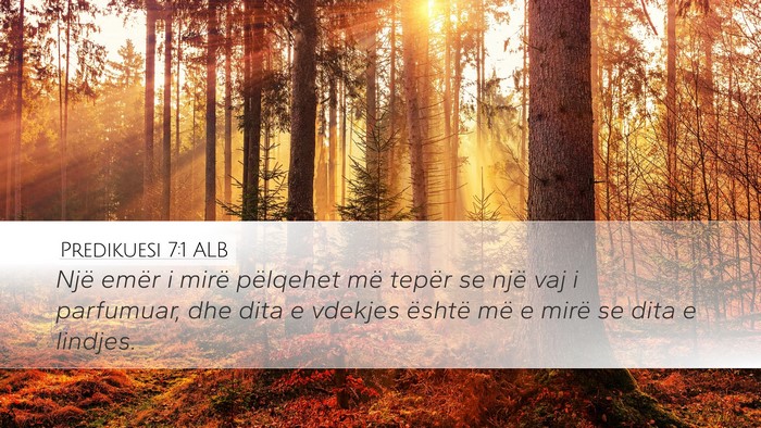 Predikuesi 7:1 ALB Bible Verse Image