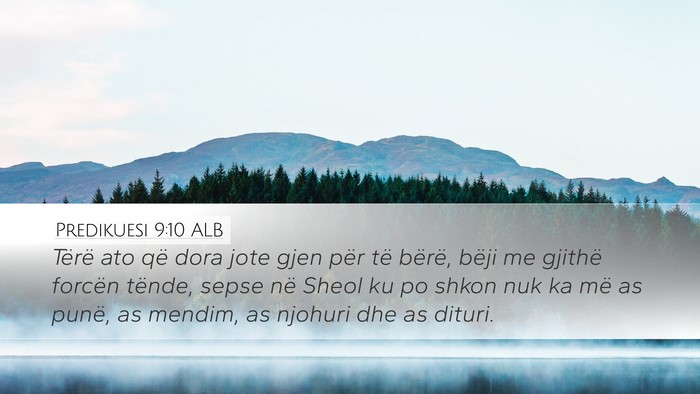 Predikuesi 9:10 ALB Bible Verse Image