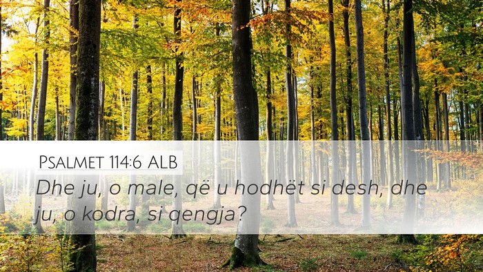 Psalmet 114:6 ALB Bible Verse Image