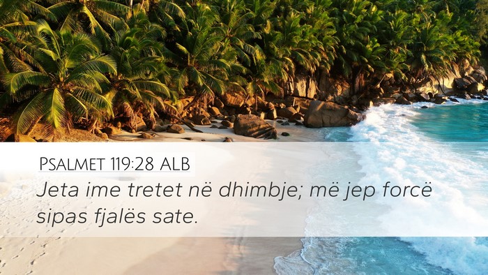 Psalmet 119:28 ALB Bible Verse Image