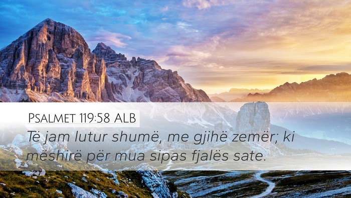 Psalmet 119:58 ALB Bible Verse Image