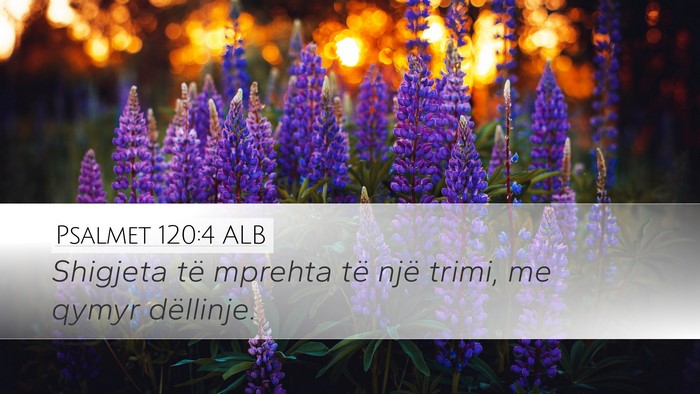 Psalmet 120:4 ALB Desktop Wallpaper - Shigjeta të mprehta të një trimi, me qymyr - Desktop Bible Verse Wallpaper
