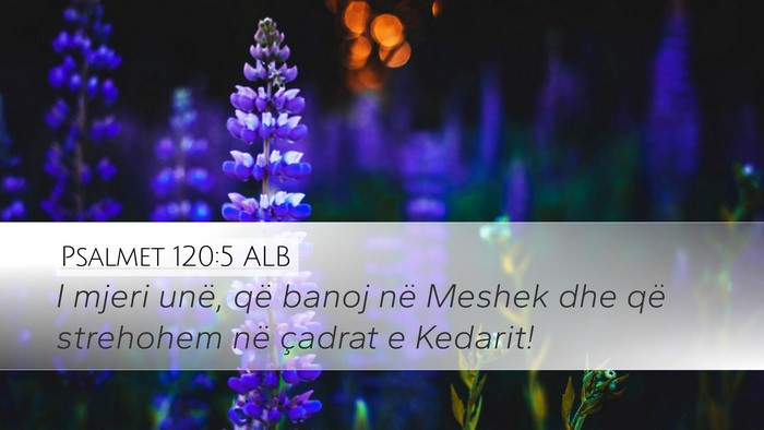 Psalmet 120:5 ALB Desktop Wallpaper - I mjeri unë, që banoj në Meshek dhe që - Desktop Bible Verse Wallpaper