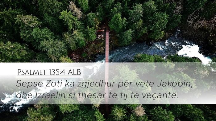 Psalmet 135:4 ALB Bible Verse Image