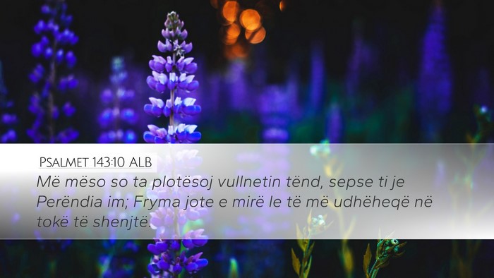 Psalmet 143:10 ALB Bible Verse Image