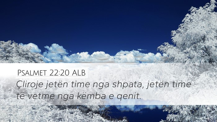 Psalmet 22:20 ALB Desktop Wallpaper - Çliroje jetën time nga shpata, jetën time të - Desktop Bible Verse Wallpaper