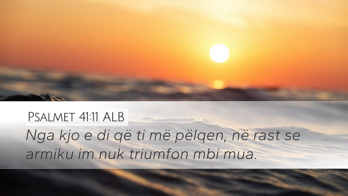 Psalmet 41:11 ALB Desktop Wallpaper - Nga kjo e di që ti më pëlqen, në rast se - Desktop Bible Verse Wallpaper