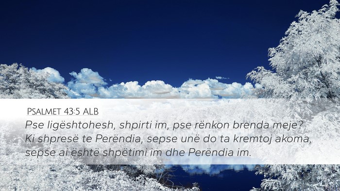 Psalmet 43:5 ALB Bible Verse Image