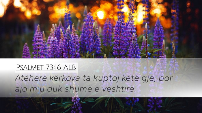 Psalmet 73:16 ALB Desktop Wallpaper - Atëherë kërkova ta kuptoj këtë gjë, por ajo - Desktop Bible Verse Wallpaper