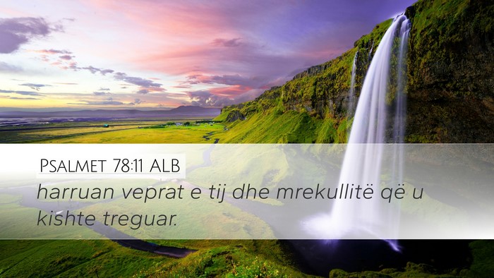 Psalmet 78:11 ALB Bible Verse Image
