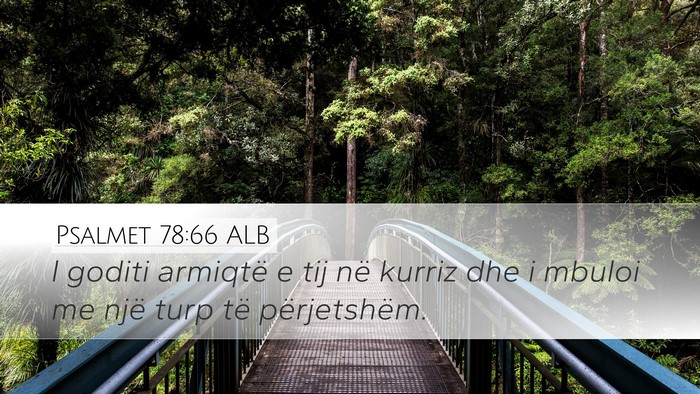Psalmet 78:66 ALB Desktop Wallpaper - I goditi armiqtë e tij në kurriz dhe i mbuloi - Desktop Bible Verse Wallpaper