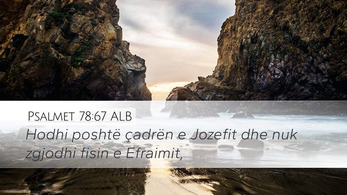 Psalmet 78:67 ALB Bible Verse Image