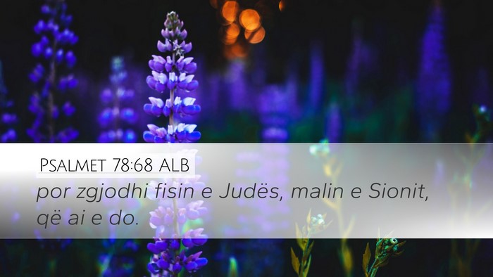 Psalmet 78:68 ALB Bible Verse Image