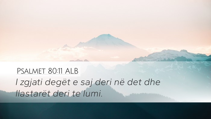 Psalmet 80:11 ALB Bible Verse Image