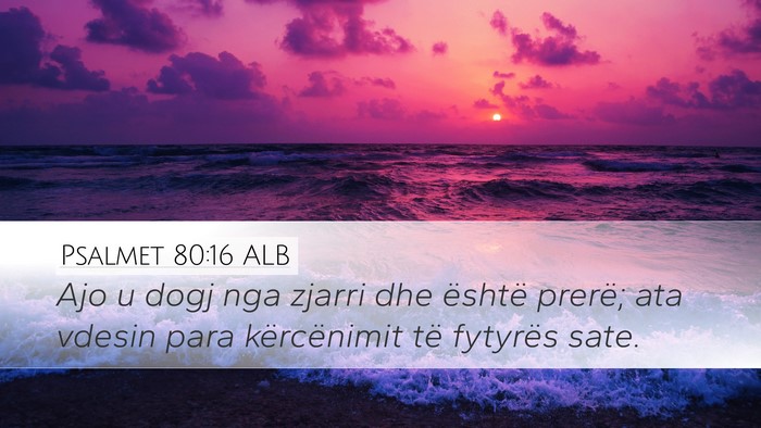 Psalmet 80:16 ALB Bible Verse Image
