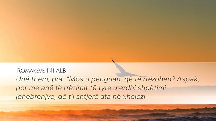 Romakëve 11:11 ALB Bible Verse Image