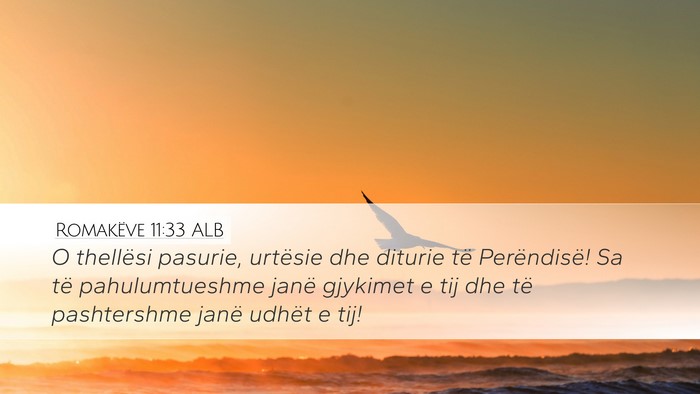 Romakëve 11:33 ALB Bible Verse Image