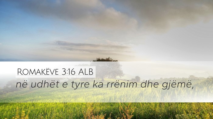 Romakëve 3:16 ALB Desktop Wallpaper - në udhët e tyre ka rrënim dhe - Desktop Bible Verse Wallpaper