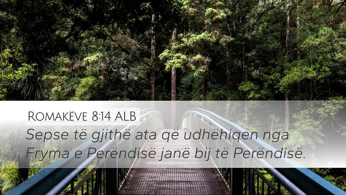 Romakëve 8:14 ALB Bible Verse Image