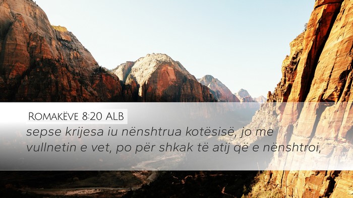 Romakëve 8:20 ALB Bible Verse Image
