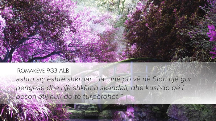 Romakëve 9:33 ALB Bible Verse Image