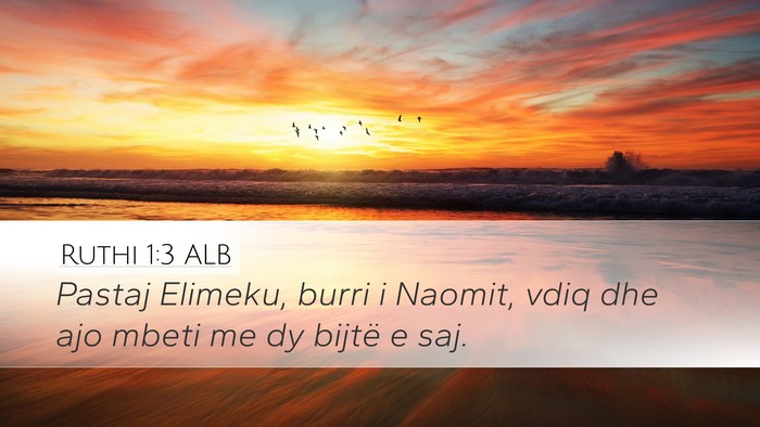 Ruthi 1:3 ALB Desktop Wallpaper - Pastaj Elimeku, burri i Naomit, vdiq dhe ajo - Desktop Bible Verse Wallpaper