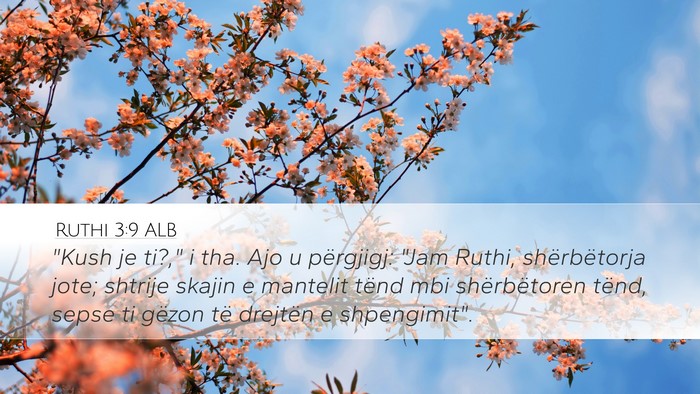 Ruthi 3:9 ALB Desktop Wallpaper - 