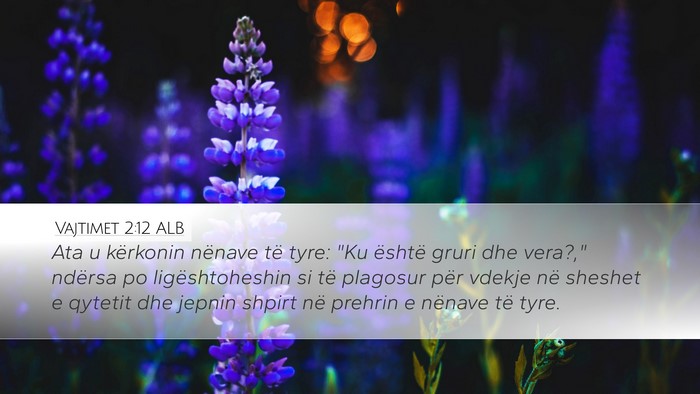 Vajtimet 2:12 ALB Bible Verse Image